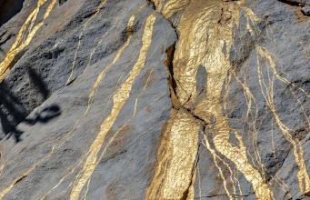 WPGCF) Announces Stock Option Grant