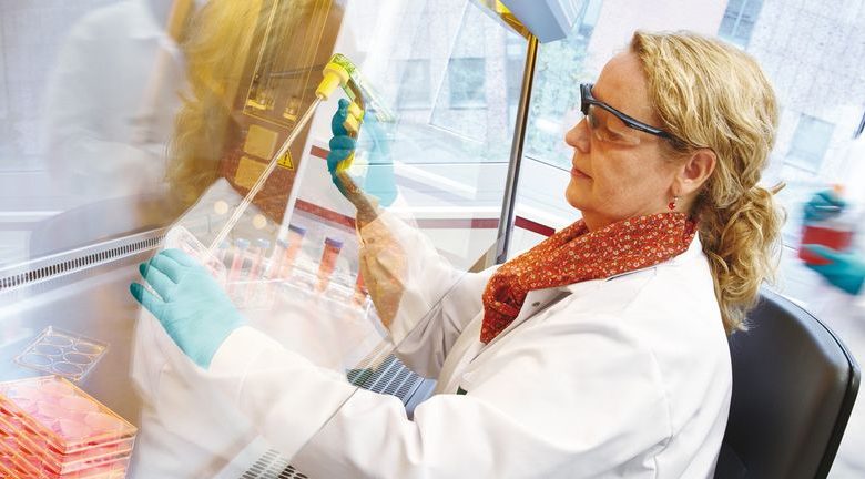 Is Bayer (XTRA:BAYN) Quietly Recasting Its Growth Story Around Niche Pharma And Imaging Bets?