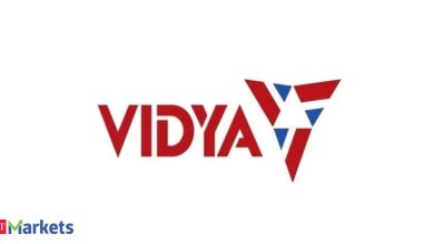 Vidya Wires IPO opens for subscription. Check GMP, review and other details