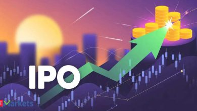 HNI demand didn’t save them: 12 heavily subscribed IPOs of 2025 are still underwater