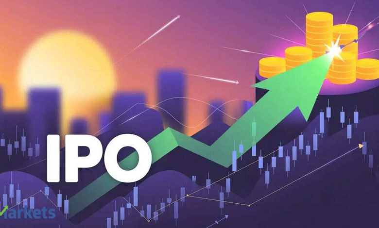 HNI demand didn’t save them: 12 heavily subscribed IPOs of 2025 are still underwater