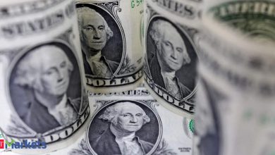 Indian cos bond less with dollar in ’25 as price advantage recedes