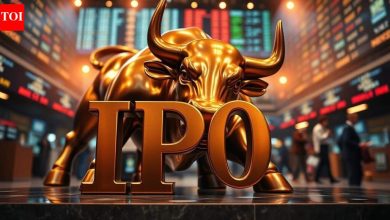 IPO market 2026: Over 190 companies line up for debut; over Rs 2.5 lakh crore fundraising targetted