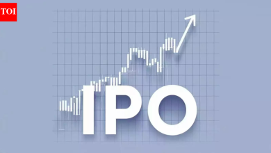 An IPO a day in 2025, Dalal-Street mop-up at record Rs 2 lakh crore