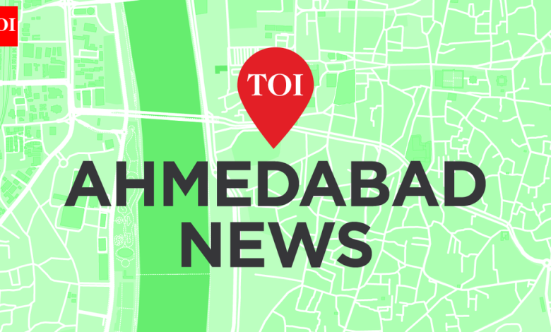 Guj’s SME IPO engine hits top gear in 2025 | Ahmedabad News