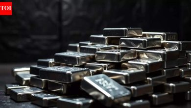 Silver at record highs! Futures price hits Rs 2.42 lakh/kg; driven by global supply chain hit fears and Fed rate-cut hopes