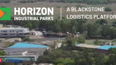Blackstone-backed Horizon Industrial files Rs 2,600-cr IPO papers with Sebi