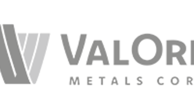 ValOre Metals 2026 New Year’s Message from CEO Nick Smart