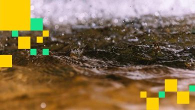 0 million lost to liquidations in latest plunge