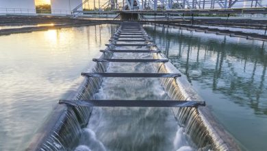 3 Penny Stocks With Market Caps Over US0M