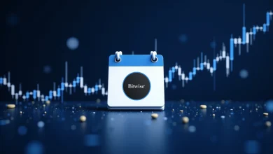 Bitwise Announced December Distributions for Option Income ETFs