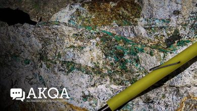 Fitzroy Minerals (TSXV:FTZ) – All Known Questions Answered – Video