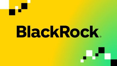 BlackRock’s Spot Bitcoin ETF Secures U.S. Top 10 Ranking With 7.7M Active Contracts