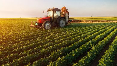 We Ran A Stock Scan For Earnings Growth And Harn Len Corporation Bhd (KLSE:HARNLEN) Passed With Ease