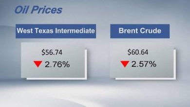 Crude futures settle lower