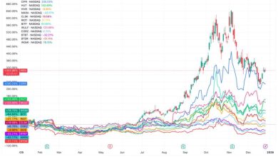 Winners and laggards emerge as IREN leads and BTDR falls behind