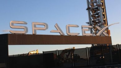 EXCLUSIVE: SpaceX IPO Could ‘Open The Floodgates,’ Says Market Strategist – Tesla (NASDAQ:TSLA)