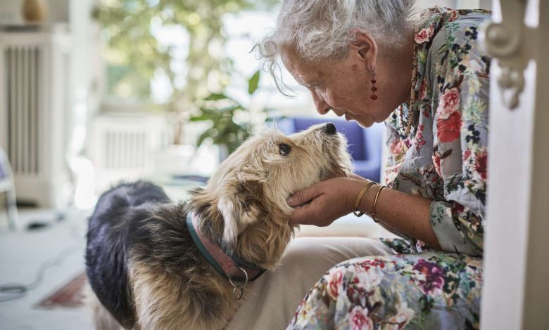 Survey Reveals Why Many Singles Fear They Might Never Retire