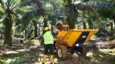 Shaping the futures of estates: Harnessing mechanisation to elevate and future-proof the plantation workforce | Press Releases | Asia