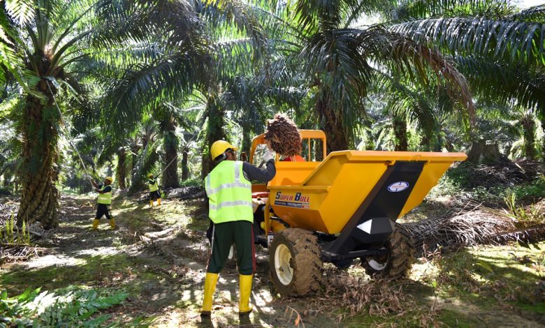 Shaping the futures of estates: Harnessing mechanisation to elevate and future-proof the plantation workforce | Press Releases | Asia Shaping the futures of estates: Harnessing mechanisation to elevate and future-proof the plantation workforce | Press Releases | Asia