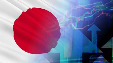 Japanese IPOs Reach Seven-Year High in 2025 amid Surging Investor Interest