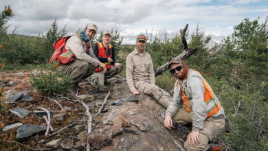 Power Metallic’s optimism rises on latest Nisk results