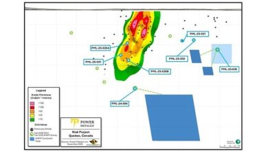 Power Metallic Intercepts 4.40 Meters of 12.18% Cu (14.34% CuEqRec) included within 20.40 Meters of 2.91% Cu (3.58% CuEqRec) in Hole 25-029b at Lion, and Completes the Extension of PN-24-064 to define large off-hole BHEM anomaly