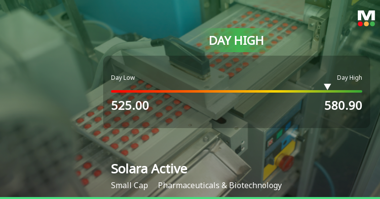 Solara Active Pharma Sciences Hits Intraday High with Strong Trading Momentum