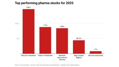 Here are the best-performing pharma stocks for 2025