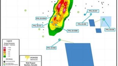 Power Metallic Intercepts 4.40 Meters of 12.18% Cu (14.34% CuEqRec) included within 20.40 Meters of 2.91% Cu (3.58% CuEqRec) in Hole 25-029b at Lion, and Completes the Extension of PN-24-064 to define large off-hole BHEM anomaly