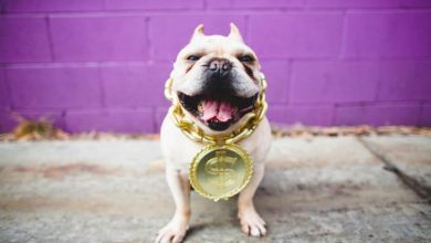 Should This Gold Mining Stock Be on Your TFSA Buy List?