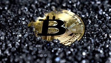 9 Best Bitcoin Mining Stocks to Buy According to Hedge Funds