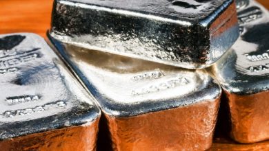 Does Silver Tiger Metals’ C Million Raise Reframe Its Funding Risk or Dilution Trade-Offs (TSXV:SLVR)?