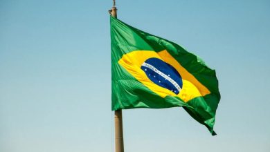 Brazil’s gen Z drives crypto boom as stablecoins, income tokens surge