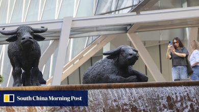 Hong Kong stocks head for longest rising streak in 3 weeks on cooling US inflation data