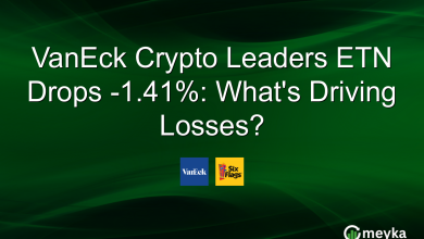 VanEck Crypto Leaders ETN Drops -1.41%: What’s Driving Losses?