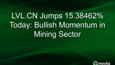 LVL.CN Jumps 15.38462% Today: Bullish Momentum in Mining Sector