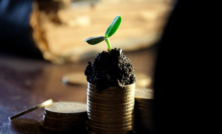 15 Global Dividend Stocks to Diversify Your Portfolio