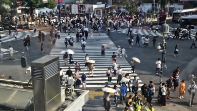 Market interest rates are also on the rise as the Bank of Japan is likely to raise its benchmark int..