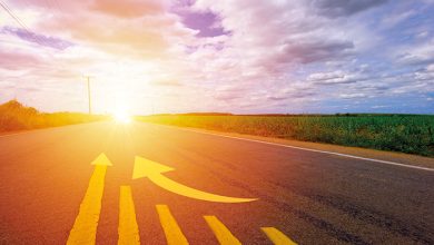 The year diversification works gain