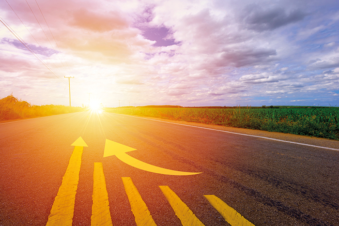 The year diversification works gain