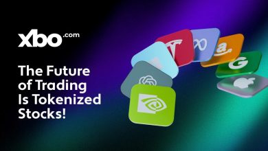 XBO.com Launches Tokenized Stocks Trading as Part of Expanding Digital Asset Lineup | Currency News | Financial and Business News