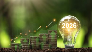3 Ultra-Safe Vanguard ETFs to Buy, Even if There’s a Stock Market Sell-Off in 2026