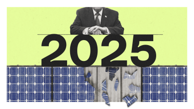 One word sums up climate politics in 2025: Greenlash