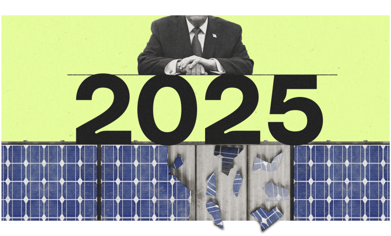 One word sums up climate politics in 2025: Greenlash