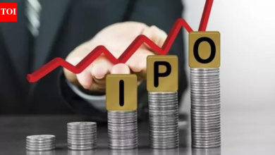 Expect strong,  billion IPO market in ’26: Citi