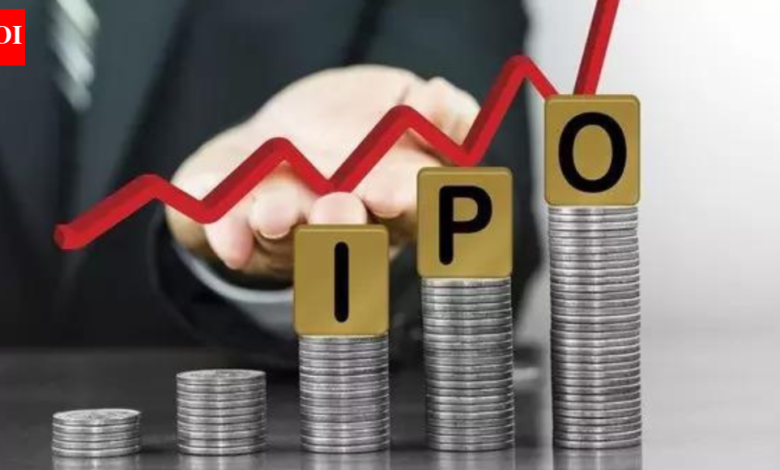 Expect strong,  billion IPO market in ’26: Citi