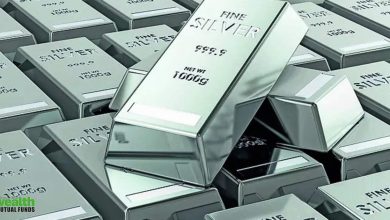 Silver ETF prices crash 20%. Who pulled the plug on multibagger rally?
