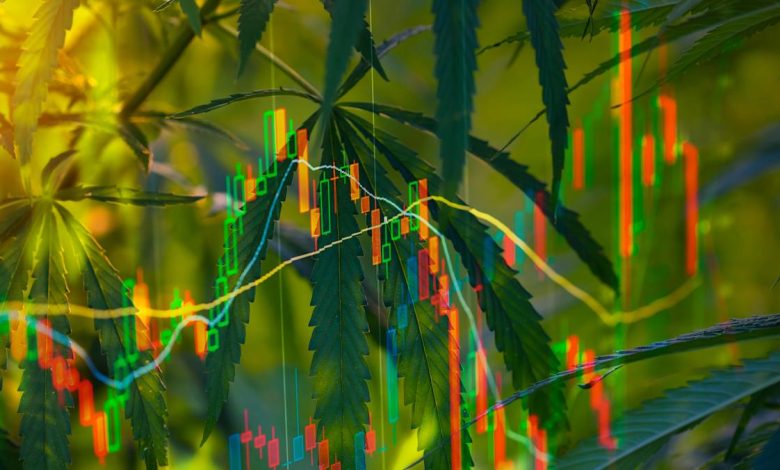 This cannabis ETF outperformed the S&P in 2025: Outlook for 2026