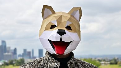 Doge is pumping, but doge ETFs are flopping